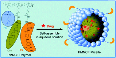 Graphical abstract: Anti-phagocytosis and tumor cell targeting micelles prepared from multifunctional cell membrane mimetic polymers