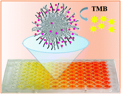 Graphical abstract: Ultrasensitive ELISA+ enhanced by dendritic mesoporous silica nanoparticles