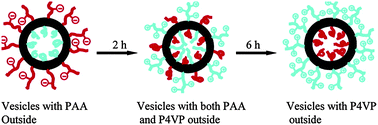 Graphical abstract: Stimuli-responsive polymersomes and nanoreactors