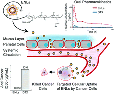 Graphical abstract: Folate grafted thiolated chitosan enveloped nanoliposomes with enhanced oral bioavailability and anticancer activity of docetaxel