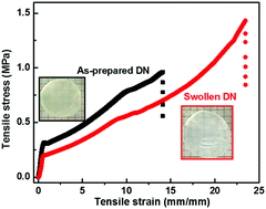 Graphical abstract: A comparative study of the mechanical properties of hybrid double-network hydrogels in swollen and as-prepared states