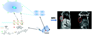 Graphical abstract: Preparation of linear poly(glycerol) as a T1 contrast agent for tumor-targeted magnetic resonance imaging