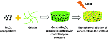 Graphical abstract: Preparation of gelatin/Fe3O4 composite scaffolds for enhanced and repeatable cancer cell ablation