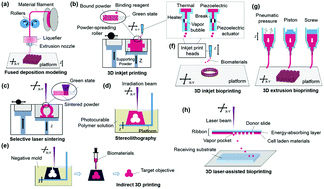 Graphical abstract: 3D printed structures for delivery of biomolecules and cells: tissue repair and regeneration