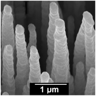 Graphical abstract: Diamond-coated ‘black silicon’ as a promising material for high-surface-area electrochemical electrodes and antibacterial surfaces