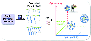 Graphical abstract: PCL–PEG graft copolymers with tunable amphiphilicity as efficient drug delivery systems