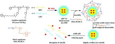 Graphical abstract: Facile construction of near-monodisperse and dual responsive polycarbonate mixed micelles with the ability of pH-induced charge reversal for intracellular delivery of antitumor drugs