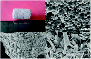 Graphical abstract: Preparation and biological effects of apatite nanosheet-constructed porous ceramics