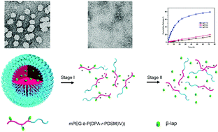 Graphical abstract: Lysosome-oriented, dual-stage pH-responsive polymeric micelles for β-lapachone delivery