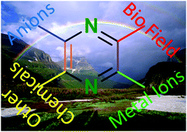 Graphical abstract: Azaacenes as active elements for sensing and bio applications
