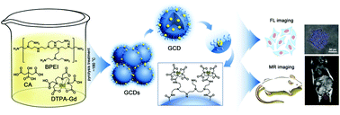 Graphical abstract: One-pot synthesis of gadolinium-doped carbon quantum dots for high-performance multimodal bioimaging