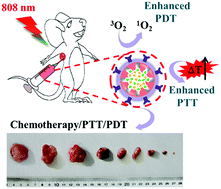 Graphical abstract: Versatile rare-earth oxide nanocomposites: enhanced chemo/photothermal/photodynamic anticancer therapy and multimodal imaging