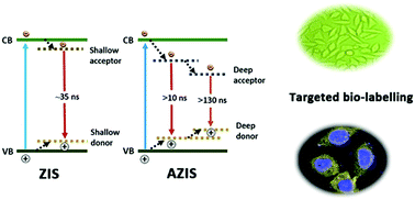 Graphical abstract: Tumor cell-targeted Zn3In2S6 and Ag–Zn–In–S quantum dots for color adjustable luminophores
