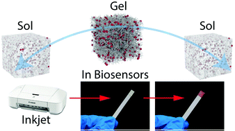 Graphical abstract: Reversible sol–gel–sol medium for enzymatic optical biosensors