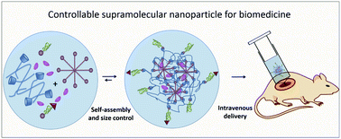 Graphical abstract: Cyclodextrin-based supramolecular nanoparticles for biomedical applications
