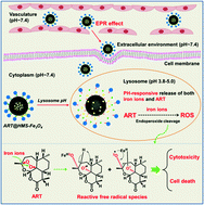 Graphical abstract: Lysosomes activating chain reactions against cancer cells with a pH-switched prodrug/procatalyst co-delivery nanosystem