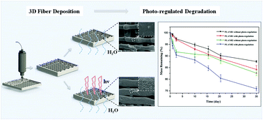 Graphical abstract: Material design and photo-regulated hydrolytic degradation behavior of tissue engineering scaffolds fabricated via 3D fiber deposition