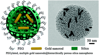Graphical abstract: Multiple gold nanorods@hierarchically porous silica nanospheres for efficient multi-drug delivery and photothermal therapy