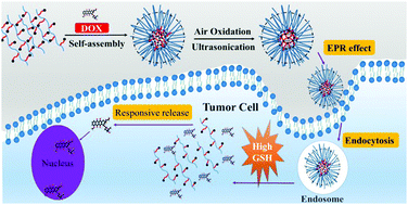 Graphical abstract: Glutathione-responsive nanoparticles based on a sodium alginate derivative for selective release of doxorubicin in tumor cells