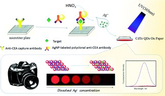 Graphical abstract: Optical transformation of a CdTe quantum dot-based paper sensor for a visual fluorescence immunoassay induced by dissolved silver ions