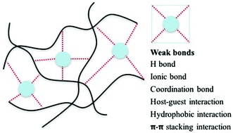 Graphical abstract: Weak bond-based injectable and stimuli responsive hydrogels for biomedical applications