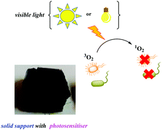 Graphical abstract: Synthesis and bactericidal properties of porphyrins immobilized in a polyacrylamide support: influence of metal complexation on photoactivity