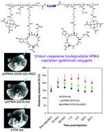 Graphical abstract: Stimuli-responsive biodegradable and gadolinium-based poly[N-(2-hydroxypropyl) methacrylamide] copolymers: their potential as targeting and safe magnetic resonance imaging probes