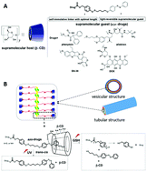 Graphical abstract: Supramolecular amphiphiles based on cyclodextrin and hydrophobic drugs