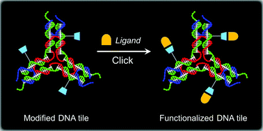 Graphical abstract: Click-based functionalization of a 2′-O-propargyl-modified branched DNA nanostructure