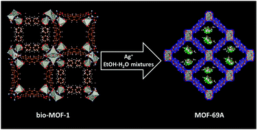 Graphical abstract: Silver-induced reconstruction of an adeninate-based metal–organic framework for encapsulation of luminescent adenine-stabilized silver clusters