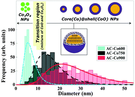 Graphical abstract: Disentangling magnetic core/shell morphologies in Co-based nanoparticles
