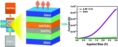 Graphical abstract: Robust and air-stable sandwiched organo-lead halide perovskites for photodetector applications