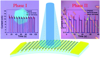 Graphical abstract: Flexible photodetectors based on phase dependent PbI2 single crystals