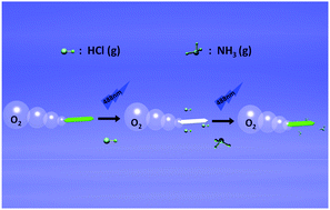 Graphical abstract: A biodegradable, all-polymer micromotor for gas sensing applications