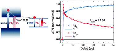 Graphical abstract: A dual-phase architecture for efficient amplified spontaneous emission in lead iodide perovskites