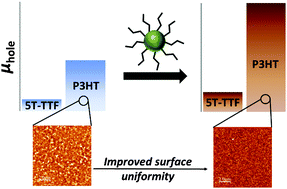 Graphical abstract: Nanoparticles of Cu2ZnSnS4 as performance enhancing additives for organic field-effect transistors