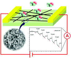 Graphical abstract: Single-walled carbon nanotubes templated CuO networks for gas sensing