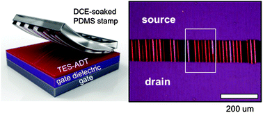 Graphical abstract: Unified film patterning and annealing of an organic semiconductor with micro-grooved wet stamps