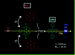 Graphical abstract: Dual phosphorescent dinuclear transition metal complexes, and their application as triplet photosensitizers for TTA upconversion and photodynamic therapy