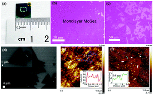 Graphical abstract: Terahertz photodetector arrays based on a large scale MoSe2 monolayer