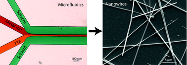 Graphical abstract: Conductive single nanowires formed and analysed on microfluidic devices