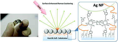Graphical abstract: A versatile platform of catechol-functionalized polysiloxanes for hybrid nanoassembly and in situ surface enhanced Raman scattering applications