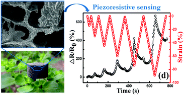 Graphical abstract: Lightweight conductive graphene/thermoplastic polyurethane foams with ultrahigh compressibility for piezoresistive sensing