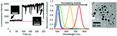 Graphical abstract: Photophysical properties of wavelength-tunable methylammonium lead halide perovskite nanocrystals