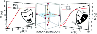 Graphical abstract: Magnetic transitions and isotropic versus anisotropic magnetic behaviour of [CH3NH3][M(HCOO)3] M = Mn2+, Co2+, Ni2+, Cu2+ metal–organic perovskites