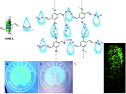 Graphical abstract: A fluorescent “glue” of water triggered by hydrogen-bonding cross-linking