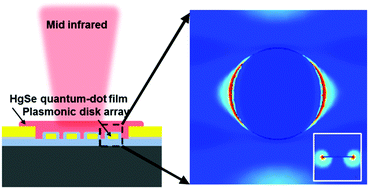 Graphical abstract: Plasmon resonance enhanced colloidal HgSe quantum dot filterless narrowband photodetectors for mid-wave infrared