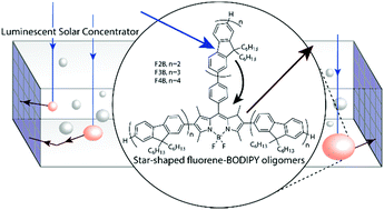 Graphical abstract: Star-shaped fluorene–BODIPY oligomers: versatile donor–acceptor systems for luminescent solar concentrators