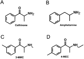 Graphical abstract: Investigations of the genotoxic properties of two synthetic cathinones (3-MMC, 4-MEC) which are used as psychoactive drugs