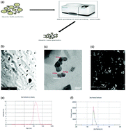 Graphical abstract: Evaluation of the DNA damaging potential of indigenous health hazardous quartz nanoparticles on the cultured lung cells